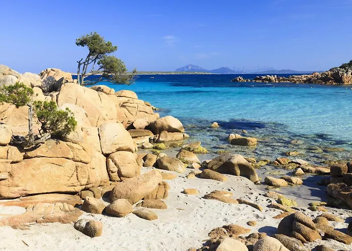 Lux-porto Cervo Center Sea View Apartment *